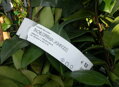 Garden tags 200x25mm / 2000  labels